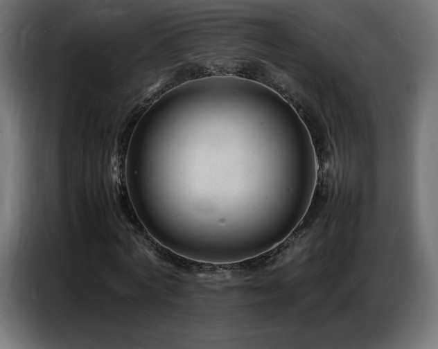 X0000086740772200704131128