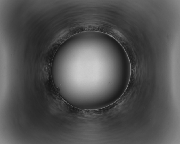 X0000086740774200704131128