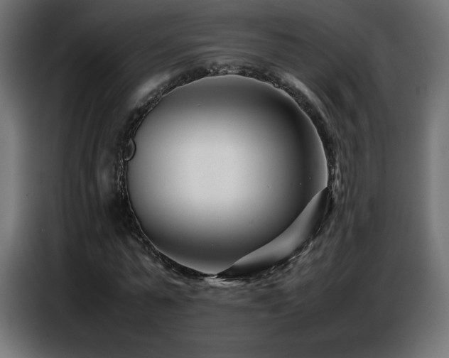 X0000086740775200704131128