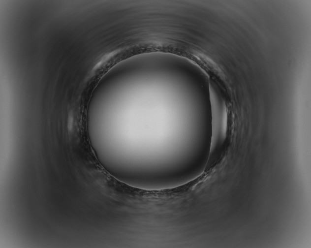 X0000086740776200704131128
