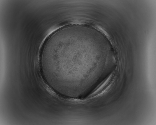 X0000086740779200704131128