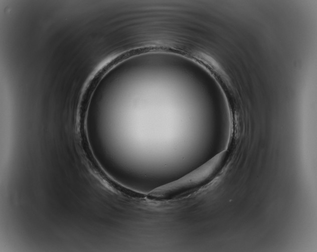 X0000086740780200704131128