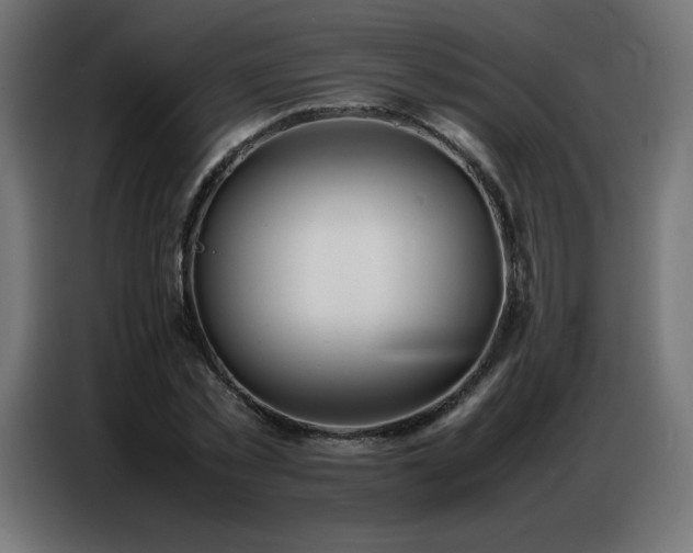 X0000086740781200704131128