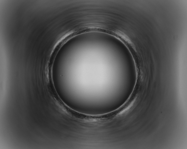 X0000086740782200704131128