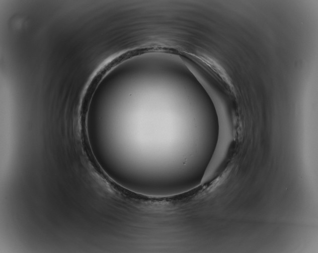 X0000086740784200704131128