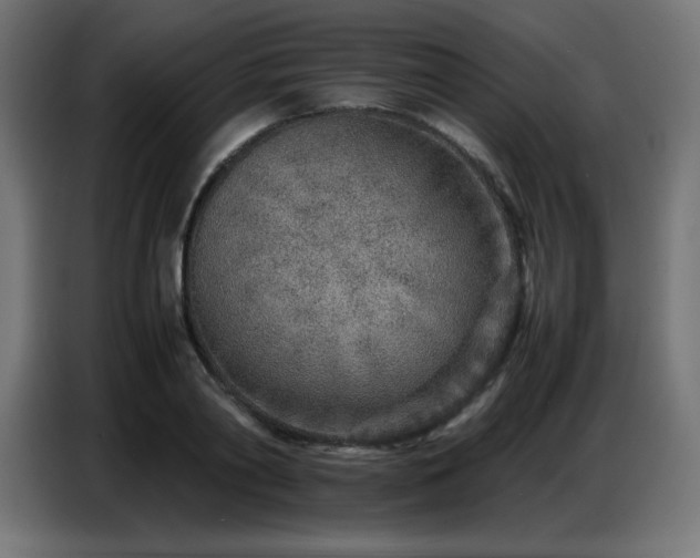 X0000086740790200704131127