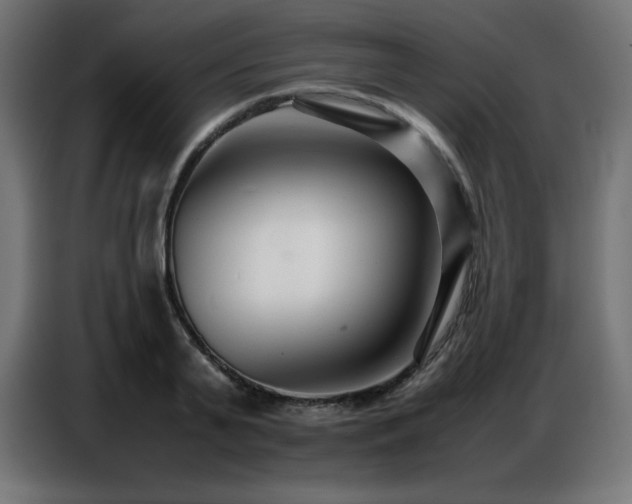 X0000086740791200704131127