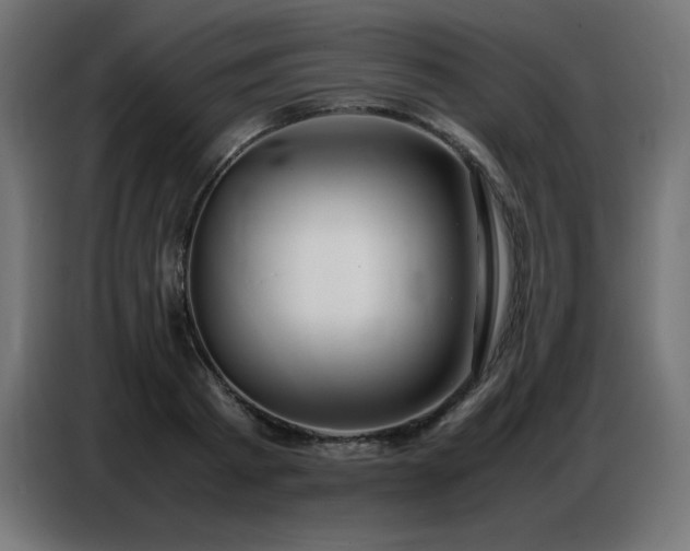 X0000086740793200704131127