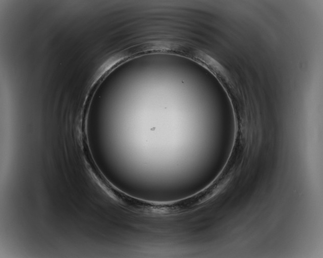 X0000086740794200704131127
