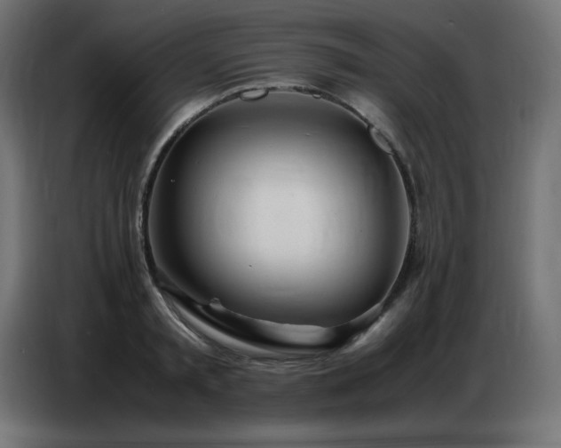 X0000086740797200704131127