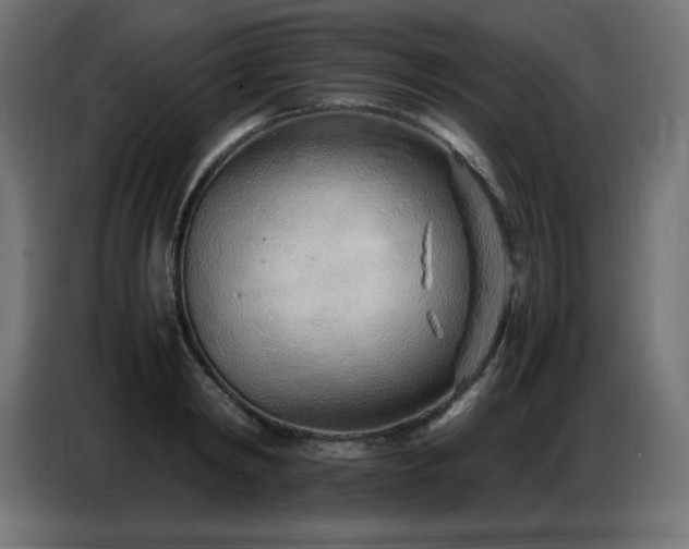 X0000086740798200704131127