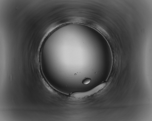 X0000086740800200704131127