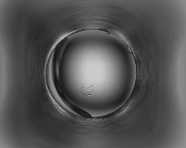 X0000086740803200704131127