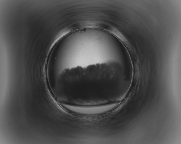 X0000086740806200704131127