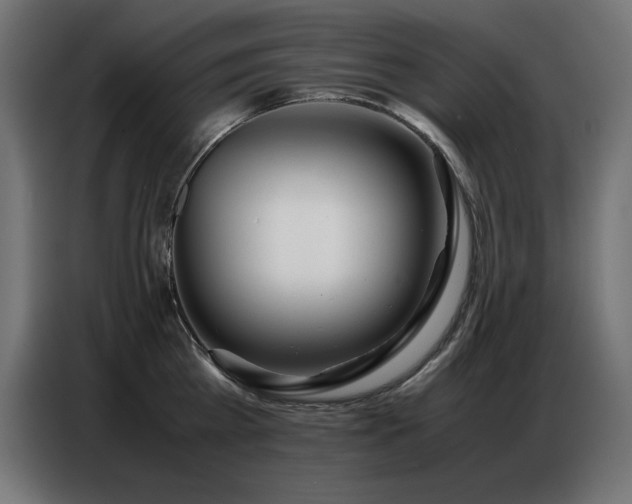 X0000086740809200704131127