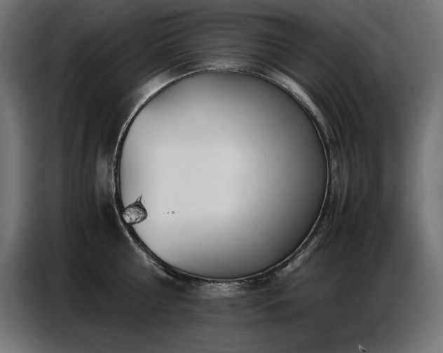 X0000086740810200704131127