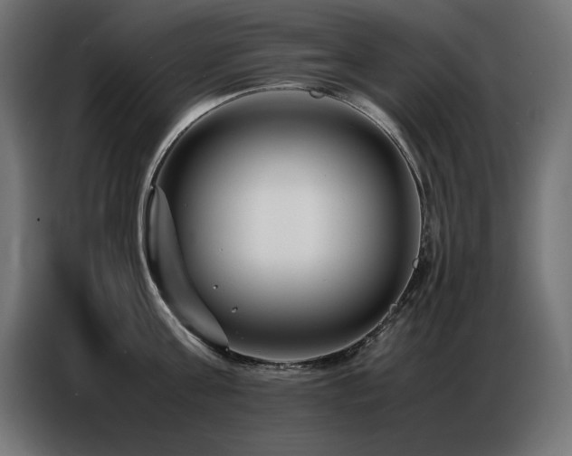 X0000086740811200704131127