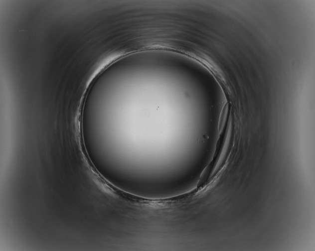 X0000086740814200704131127
