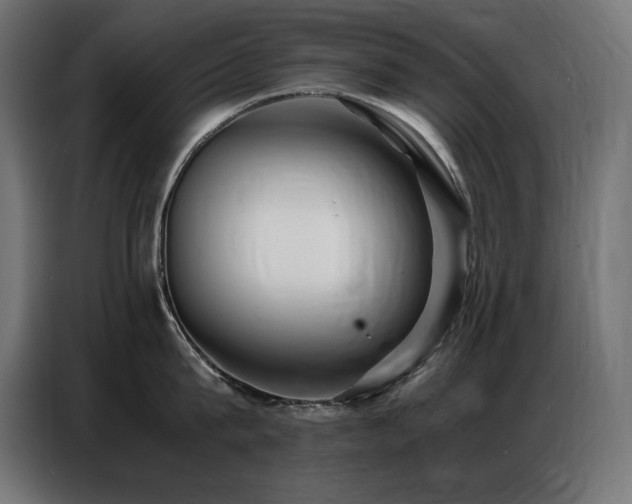 X0000086740815200704131127