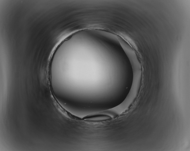 X0000086740816200704131127
