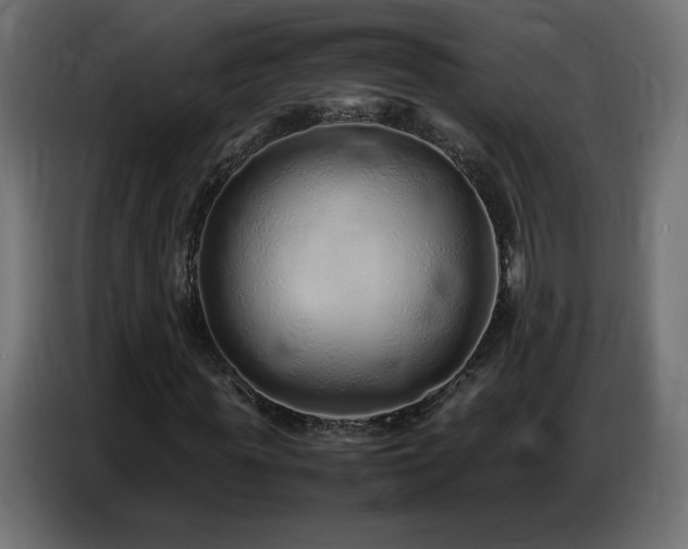 X0000086740819200704131126