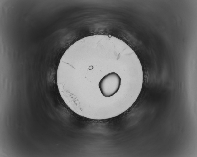 X0000086740820200704131126