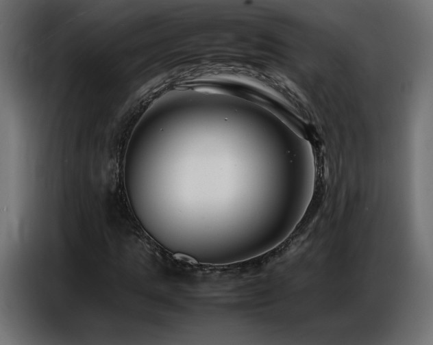 X0000086740821200704131127