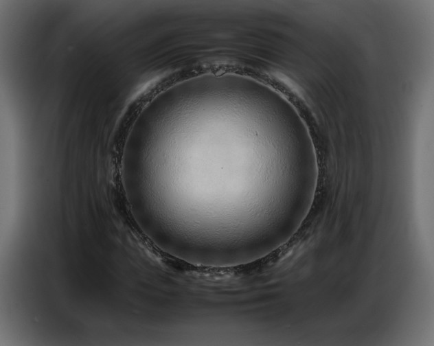 X0000086740823200704131127