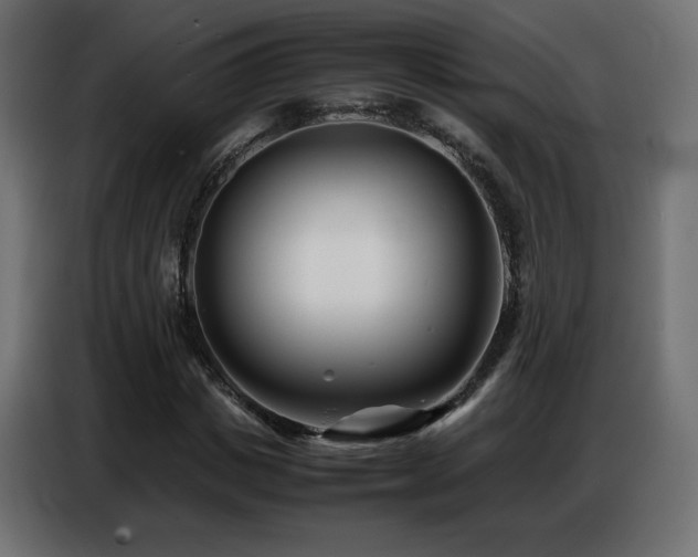 X0000086740825200704131127