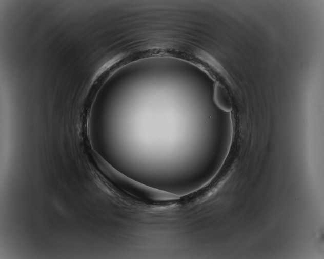 X0000086740826200704131127