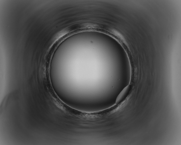 X0000086740827200704131127
