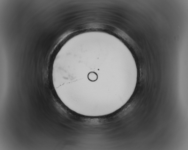X0000086740828200704131127
