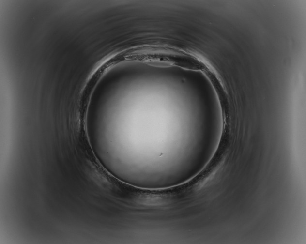 X0000086740829200704131127