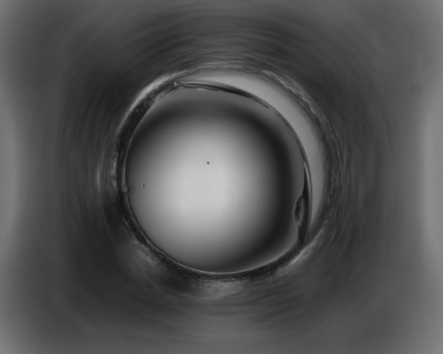 X0000086740830200704131127