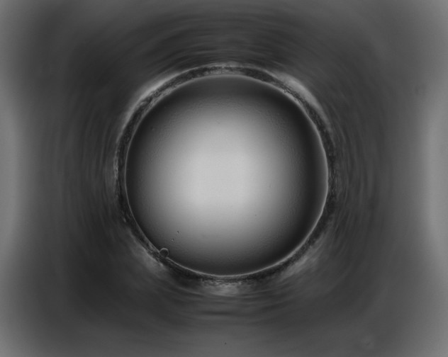 X0000086740831200704131127