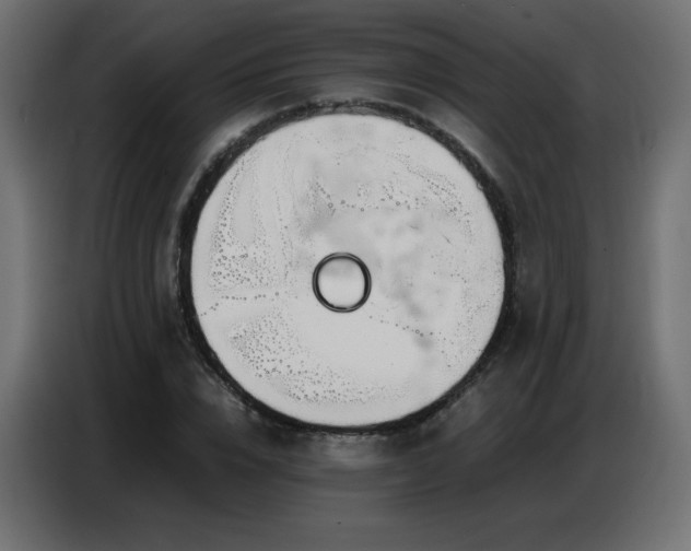 X0000086740832200704131127