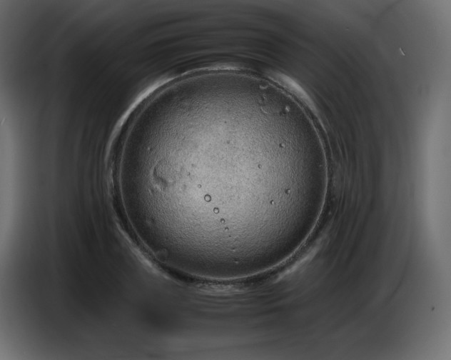 X0000086740835200704131127