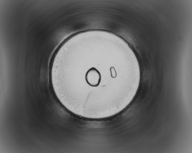 X0000086740836200704131127