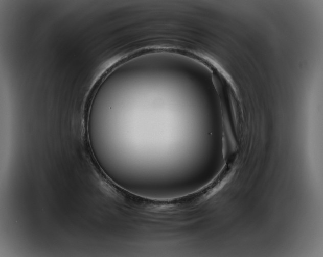X0000086740837200704131127