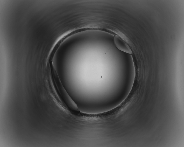 X0000086740838200704131127
