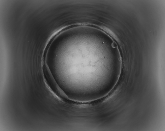 X0000086740839200704131127