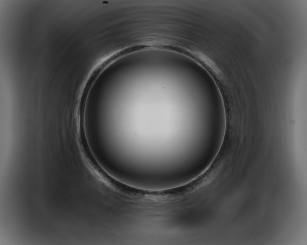 X0000086740840200704131127