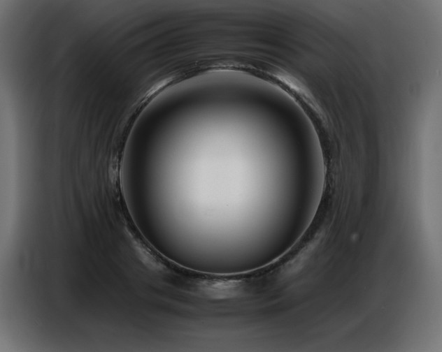 X0000086740841200704131127