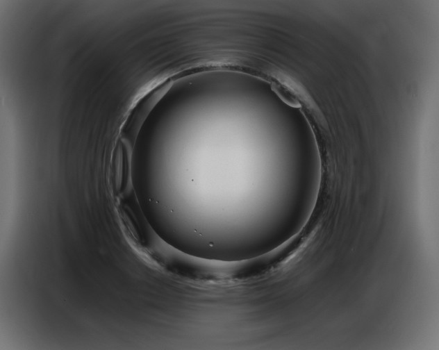 X0000086740842200704131127