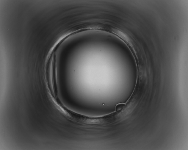 X0000086740843200704131127