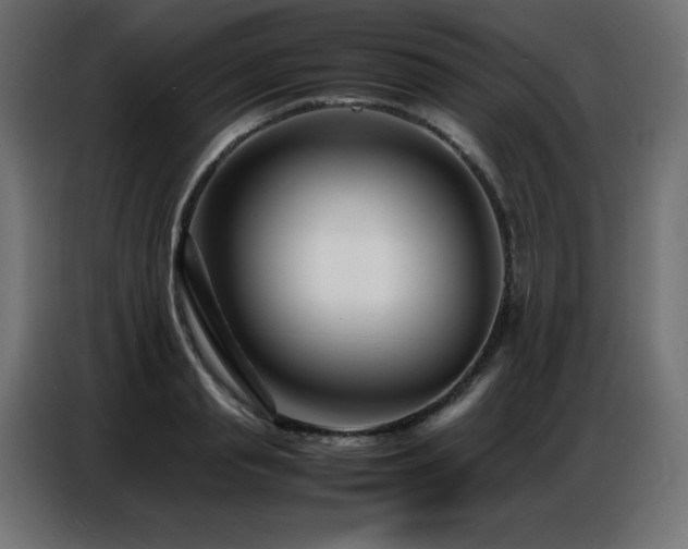 X0000086740845200704131127