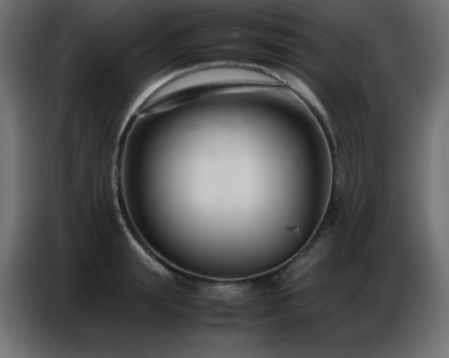 X0000086740847200704131127