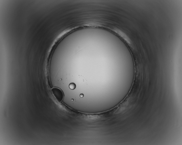 X0000086740848200704131127