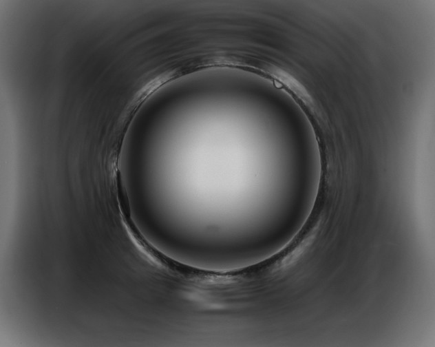 X0000086740849200704131127