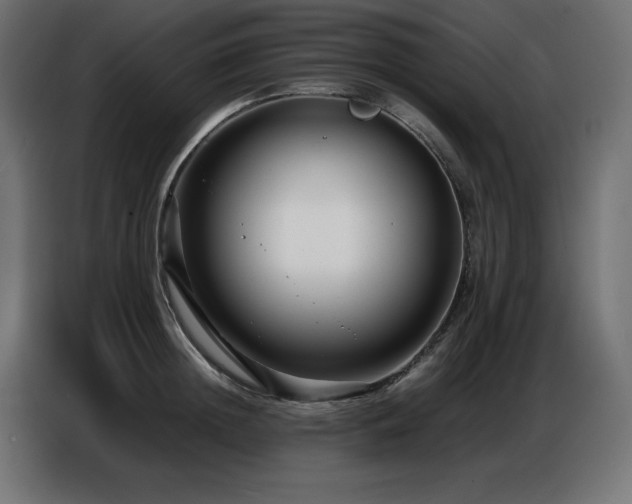 X0000086740852200704131127
